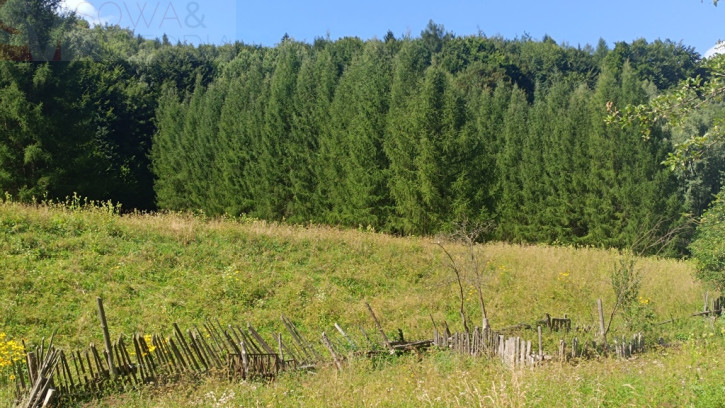 Działka Sprzedaż Michałkowa 3
