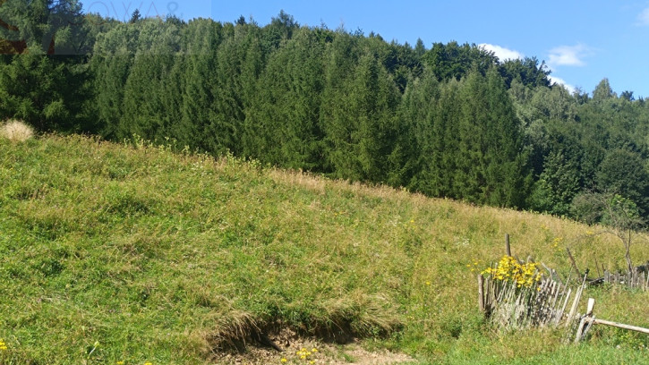 Działka Sprzedaż Michałkowa 4