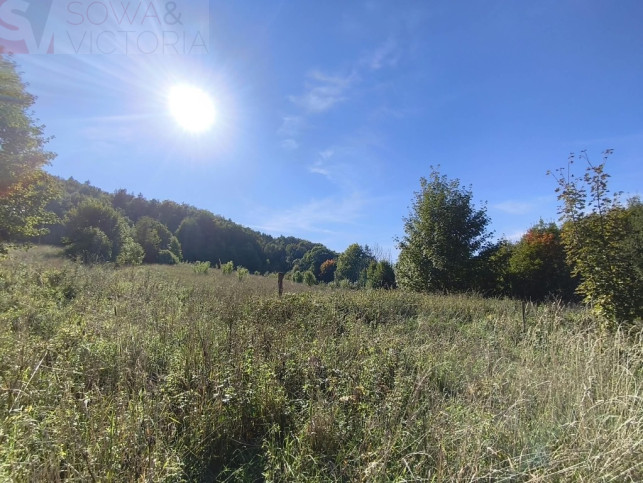 Działka Sprzedaż Stare Bogaczowice 1