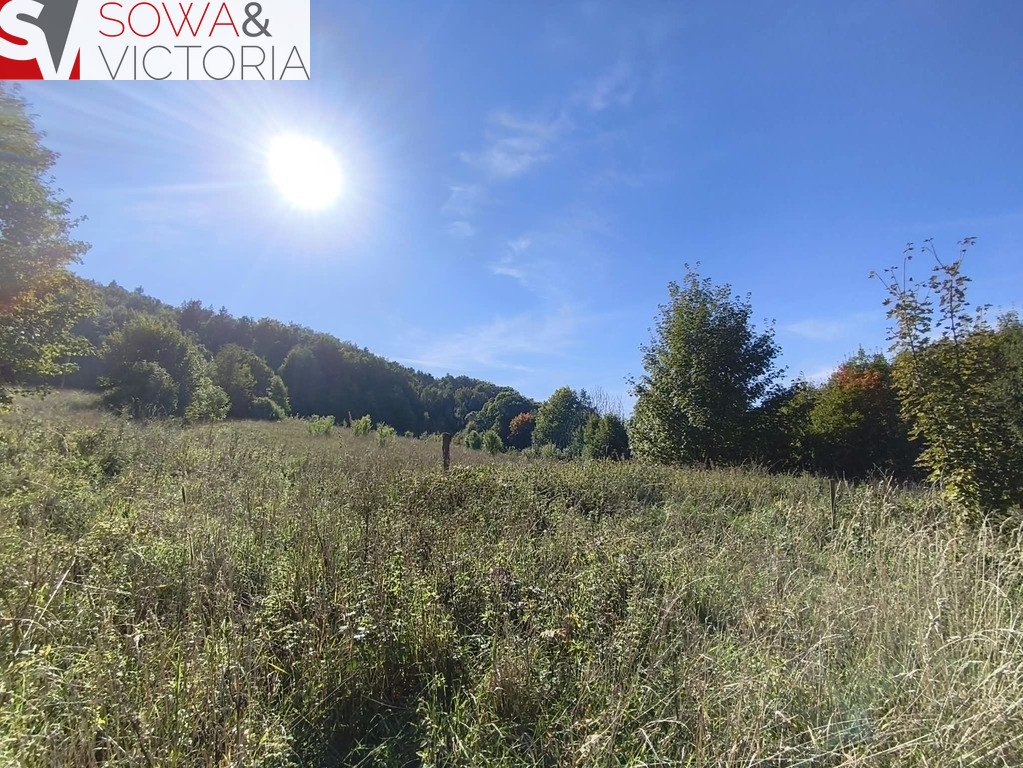 Działka Sprzedaż Stare Bogaczowice
