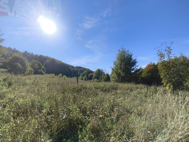 Działka Sprzedaż Stare Bogaczowice 3