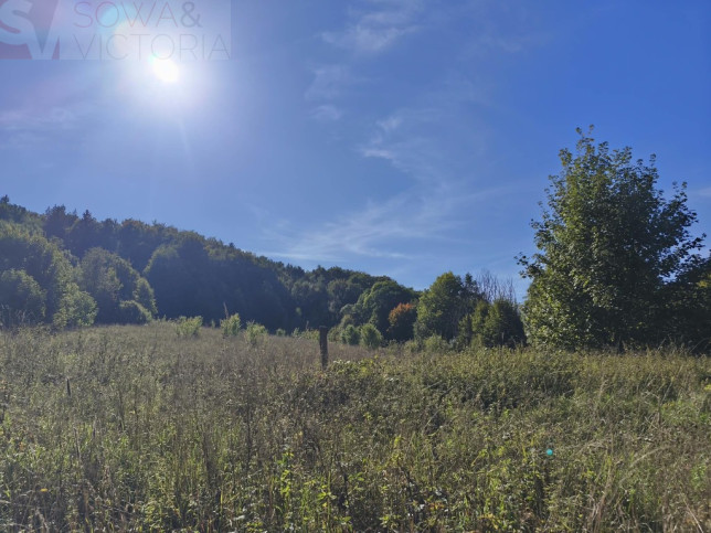 Działka Sprzedaż Stare Bogaczowice 2
