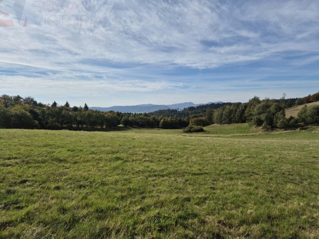 Działka Sprzedaż Sierpnica 2