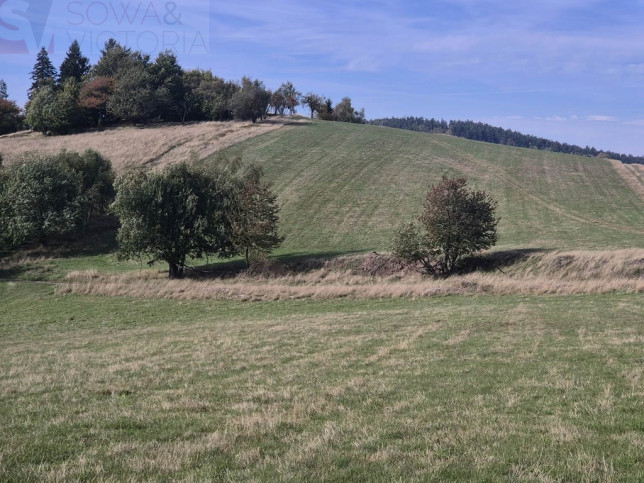 Działka Sprzedaż Sierpnica 9