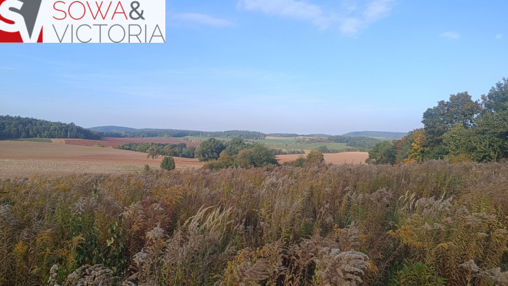 Działka Sprzedaż Stare Bogaczowice 2