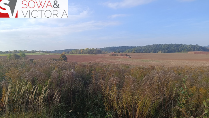 Działka Sprzedaż Stare Bogaczowice 7