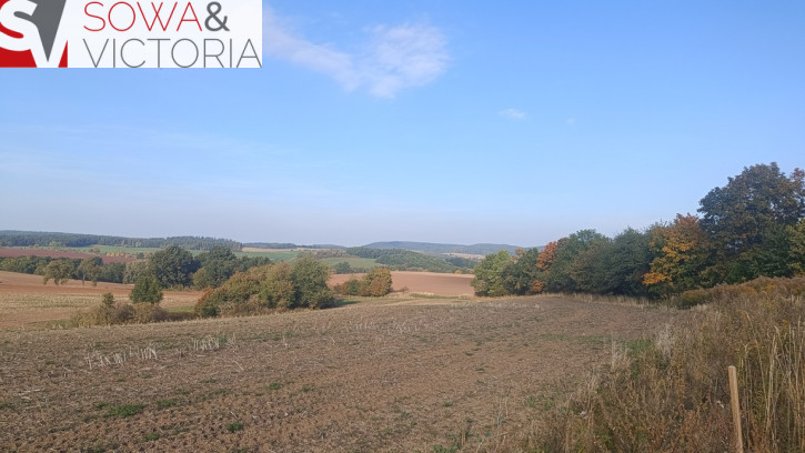 Działka Sprzedaż Stare Bogaczowice 3