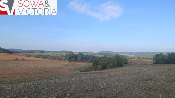Działka Sprzedaż Stare Bogaczowice 4