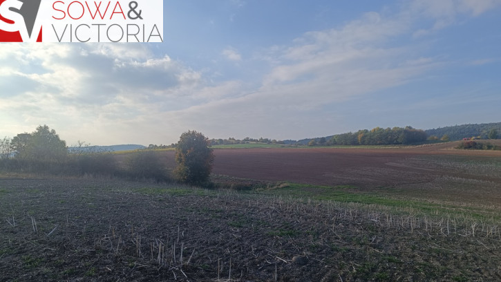 Działka Sprzedaż Stare Bogaczowice 5