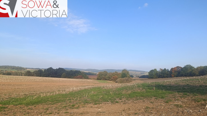 Działka Sprzedaż Stare Bogaczowice 1