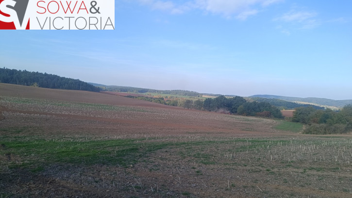 Działka Sprzedaż Stare Bogaczowice 11