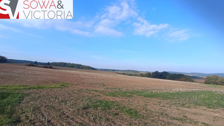 Działka Sprzedaż Stare Bogaczowice 12