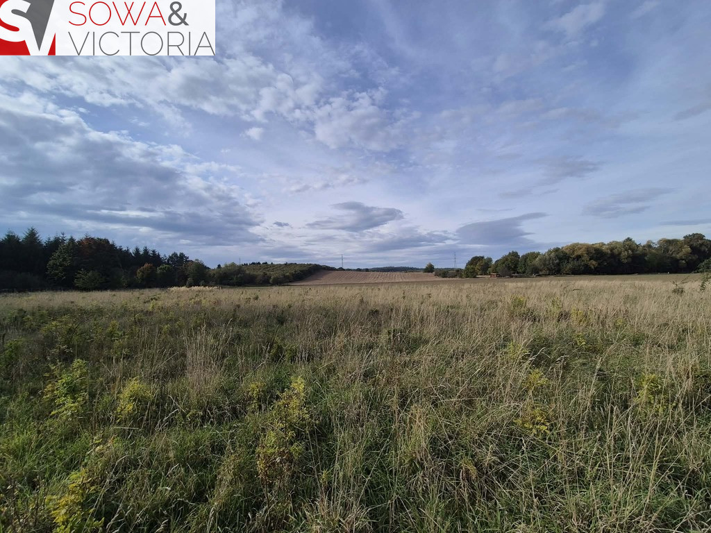 Działka Sprzedaż Kłaczyna