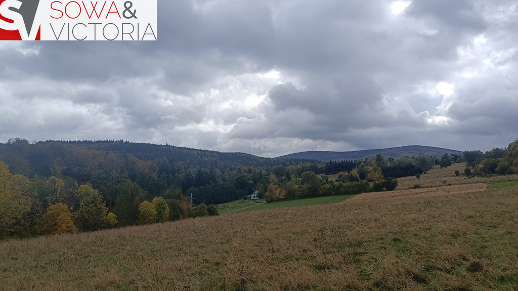 Działka Sprzedaż Walim