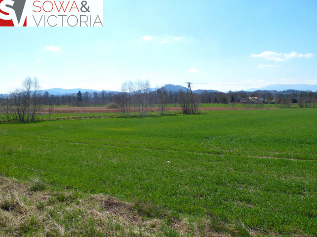 Działka Sprzedaż Jelenia Góra Maciejowa 2