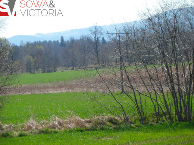 Działka Sprzedaż Jelenia Góra Maciejowa 6