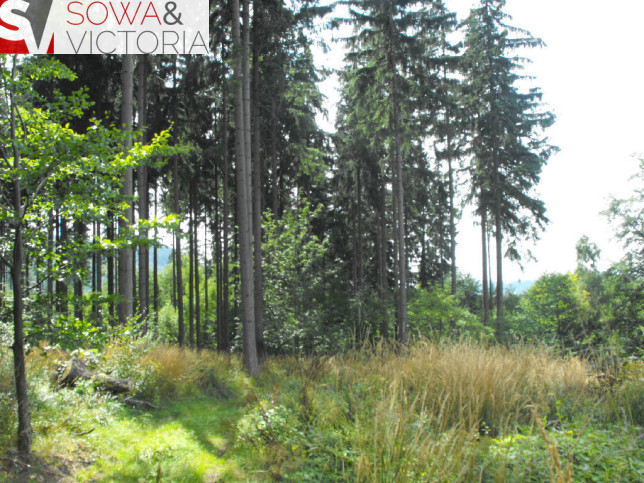 Działka Sprzedaż Boguszów-Gorce 8