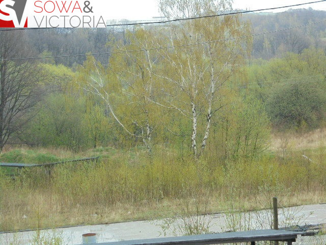 Działka Sprzedaż Wałbrzych Piaskowa Góra 3