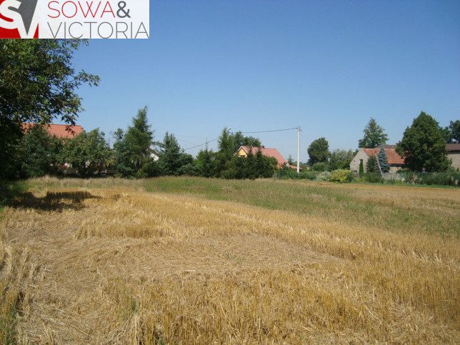 Działka Sprzedaż Szymanów 2