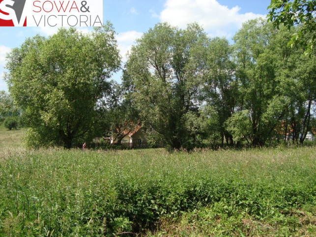 Działka Sprzedaż Dziećmorowice 5