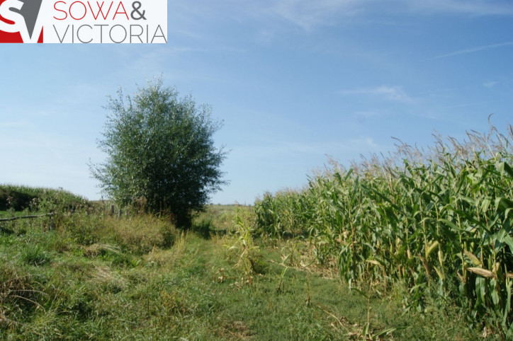 Działka Sprzedaż Stare Bogaczowice 1