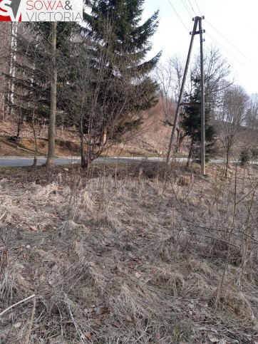 Działka Sprzedaż Niedźwiedzica 5