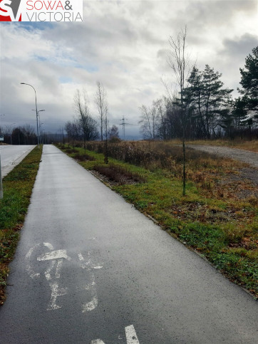 Działka Wynajem Wałbrzych Biały Kamień 6