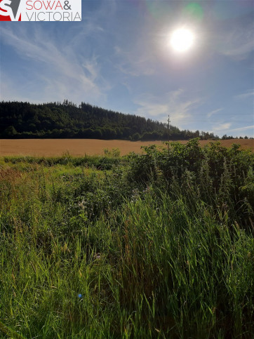 Działka Sprzedaż Struga 7