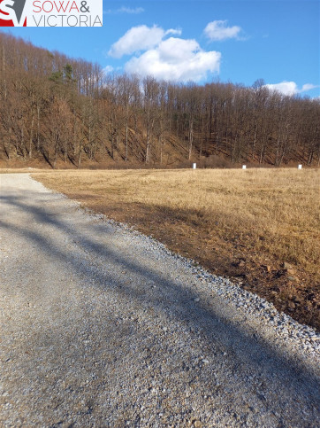 Działka Sprzedaż Chwaliszów 10