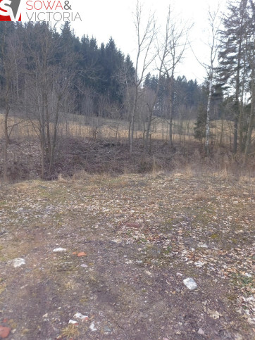 Działka Sprzedaż Mieroszów 6