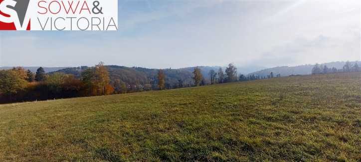 Działka Sprzedaż Zagórze Śląskie 2