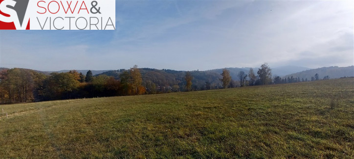 Działka Sprzedaż Zagórze Śląskie 1