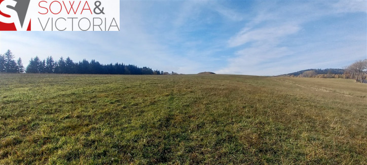 Działka Sprzedaż Zagórze Śląskie 7