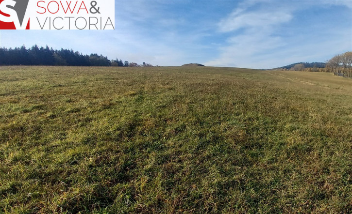 Działka Sprzedaż Zagórze Śląskie 8