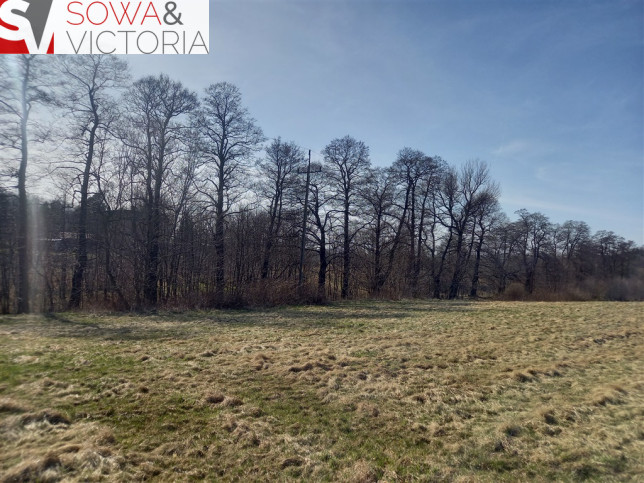 Działka Sprzedaż Jabłów 9