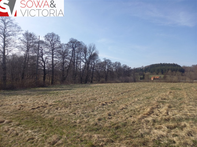 Działka Sprzedaż Jabłów 10