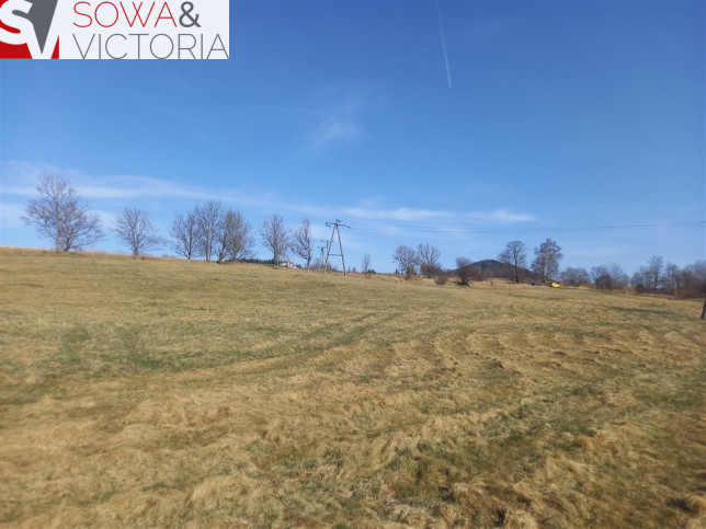 Działka Sprzedaż Jabłów 12