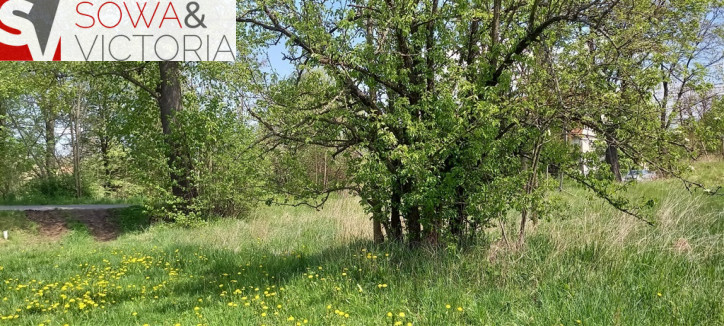 Działka Sprzedaż Bolków 5