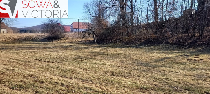 Działka Sprzedaż Bolków 8