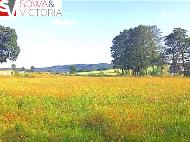 Działka Sprzedaż Gorzeszów 1