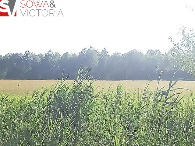 Działka Sprzedaż Gorzeszów 9