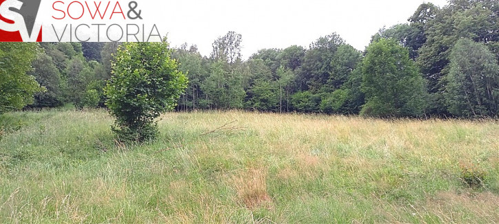 Działka Sprzedaż Walim 7