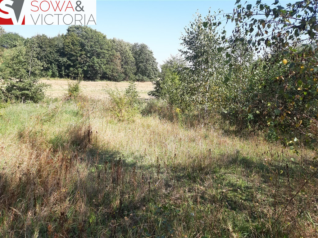 Działka Sprzedaż Stare Bogaczowice