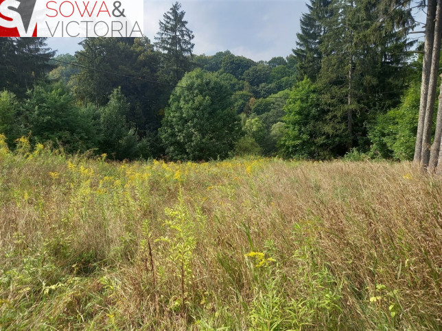 Działka Sprzedaż Lubachów 6