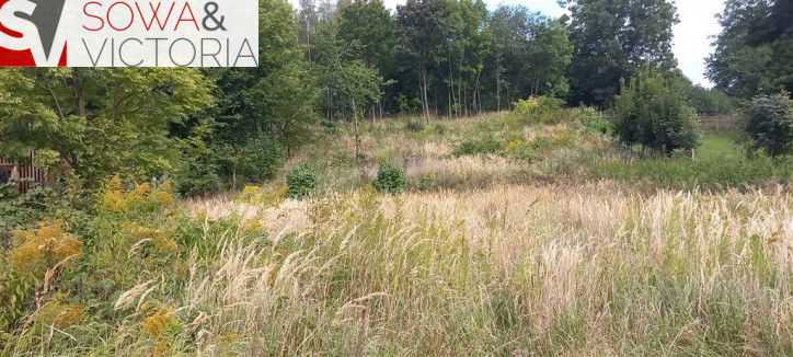Działka Sprzedaż Wałbrzych Poniatów 2