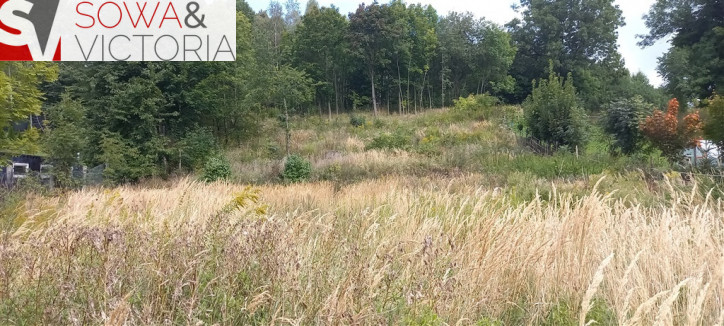 Działka Sprzedaż Wałbrzych Poniatów 3