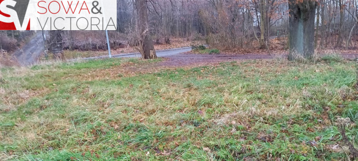Działka Sprzedaż Wałbrzych Biały Kamień 2