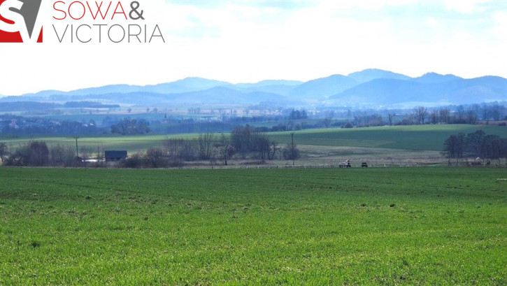 Działka Sprzedaż Dziećmorowice Stary Julianów 3