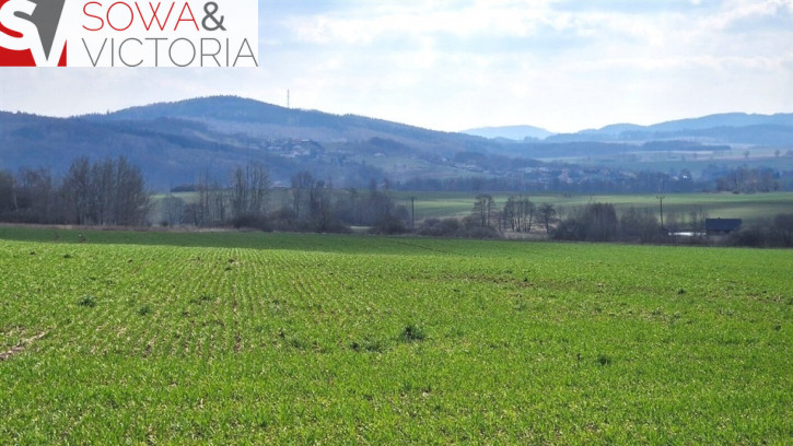 Działka Sprzedaż Dziećmorowice Stary Julianów 4
