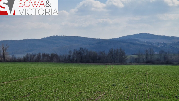 Działka Sprzedaż Dziećmorowice Stary Julianów 5